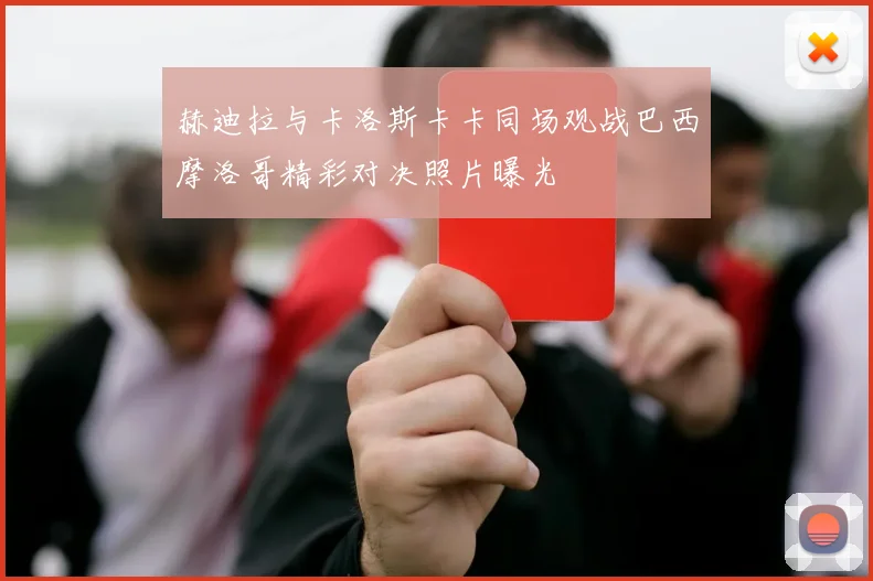 赫迪拉与卡洛斯卡卡同场观战巴西摩洛哥精彩对决照片曝光